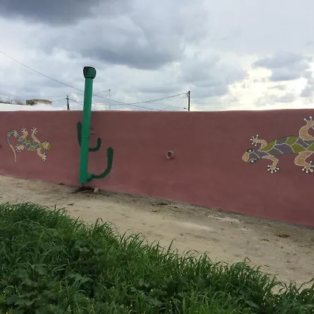 Rasta *